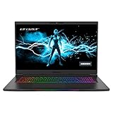 ERAZER Beast X20 43,9 cm (17,3 Zoll 165Hz) QHD Gaming Notebook (Intel Core i7-10870H, 32GB DDR4 RAM, 2TB...