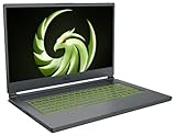 MSI Delta 15 AMD Advantage Edition (39,6 cm (15,6') / 144Hz) Gaming Laptop (AMD Ryzen 9 5900HX, AMD...