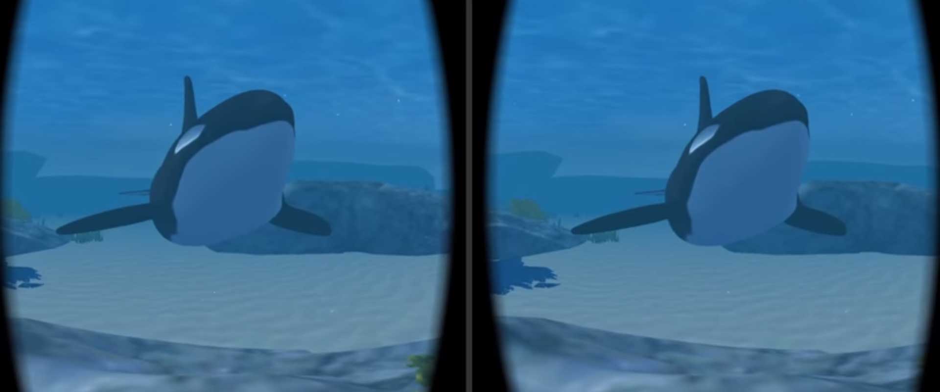 PETA: Mit Virtual Reality gegen SeaWorld