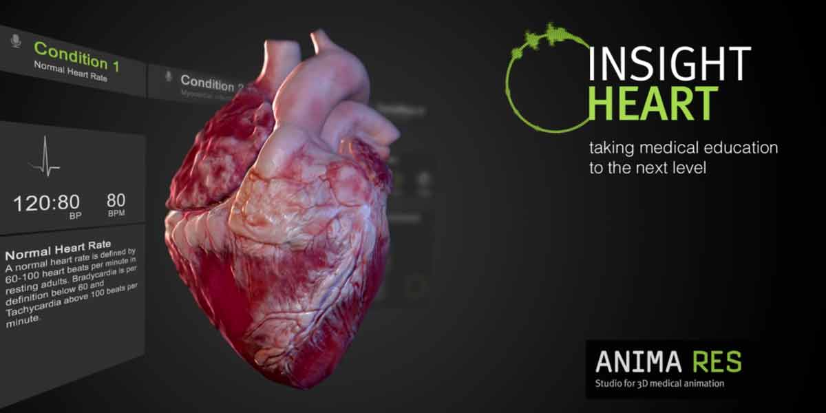 Hololens: Digitales 3D-Herz macht den menschlichen Motor verständlich