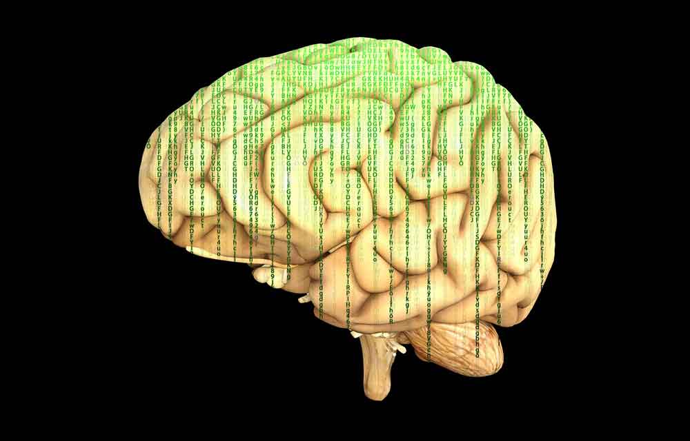 Neurowissenschaftler: „Gehirn-Computer-Schnittstellen sind keine Fiktion“