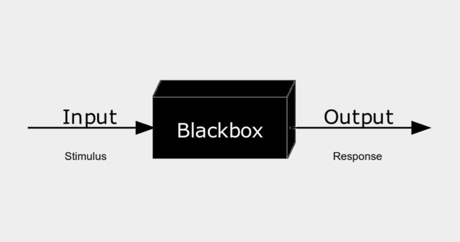 Vorne Daten rein, hinten Ergebnisse raus. Was dazwischen passiert ist unklar - so das Bild der Blackbox.