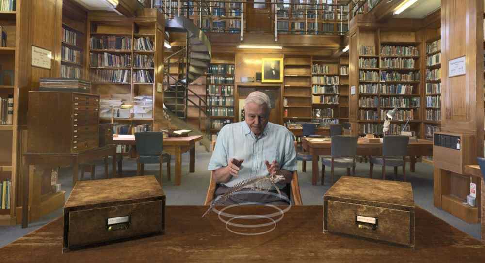 Virtueller Museumsbesuch: Sir David Attenborough präsentiert „Hold the World“