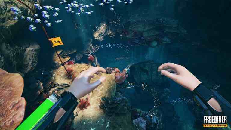 Rift und Co: Unterwasser-Abenteuer 