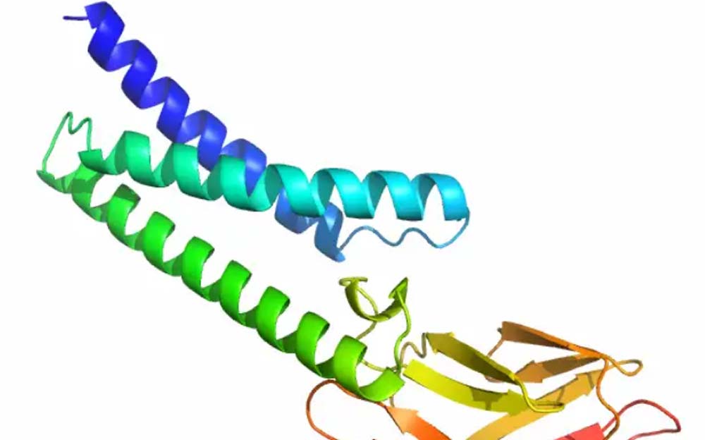 Deepminds KI-Software Alphafold berechnete mögliche Proteinstrukturen des Coronavirus. Bild: Deepmind