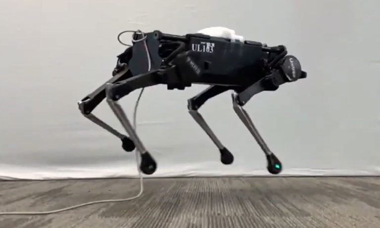 Googles Hunderoboter lernt das Laufen durch Hundevideos