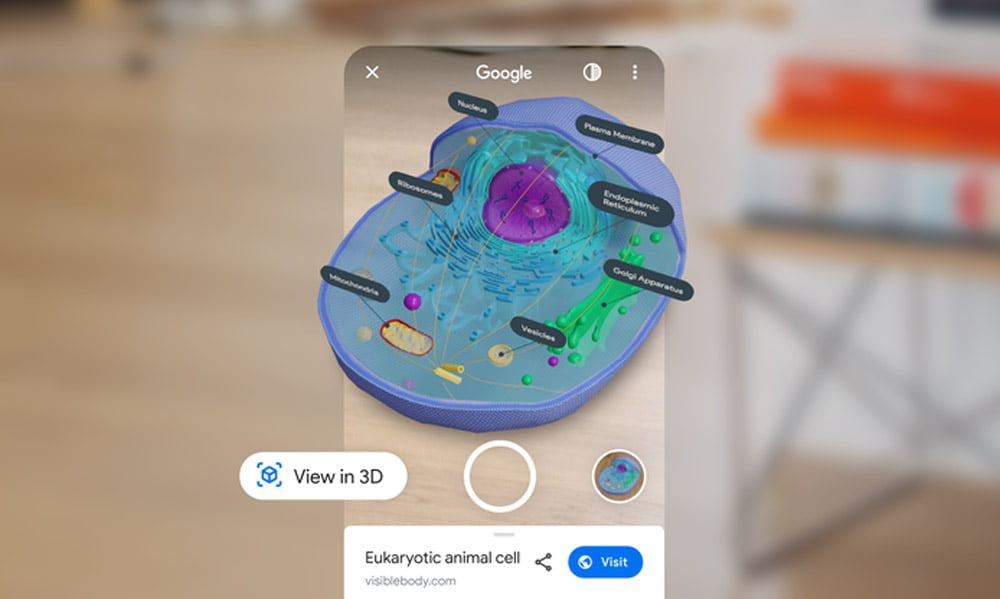 Eine 3D-Zelle in den Google Suchergebnissen