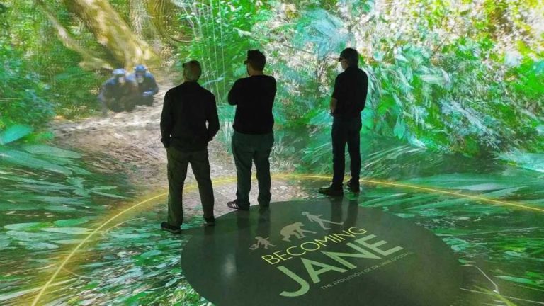 Becoming Jane: Award für immersive Ausstellung über Jane Goodall