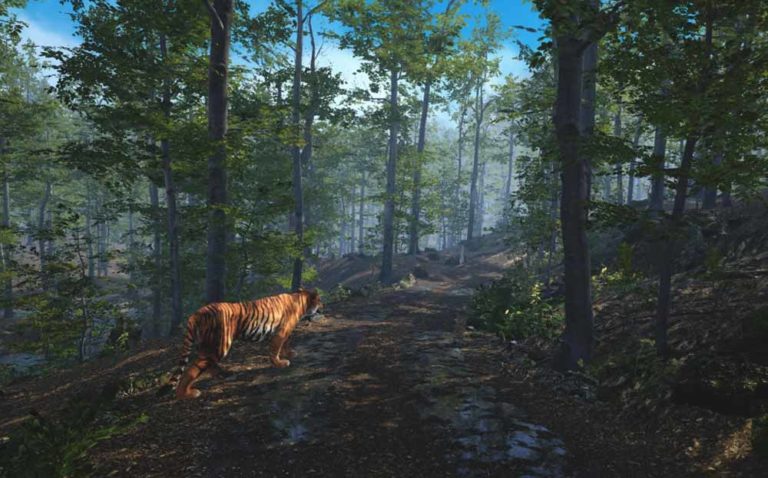 Tiger King: Carole Baskin ist zurück – mit einem VR-Spiel