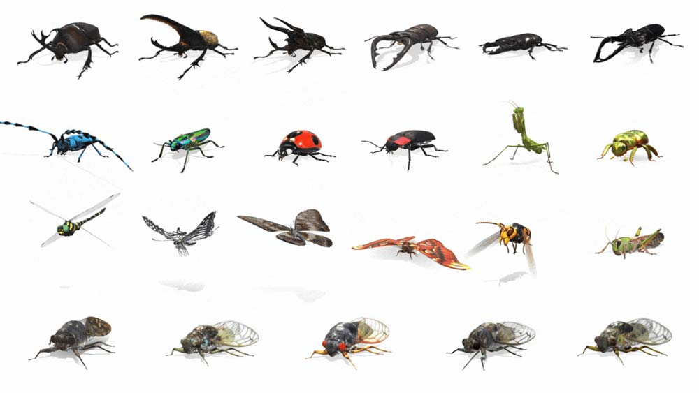 3D-Insekten krabbeln in Googles Augmented-Reality-Suche