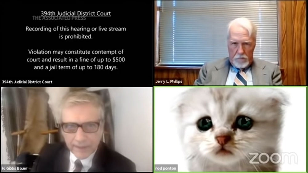 Während einer Zoom-Videokonferenz erscheint ein Anwalt unten rechts in der Ecke als Babykatze.