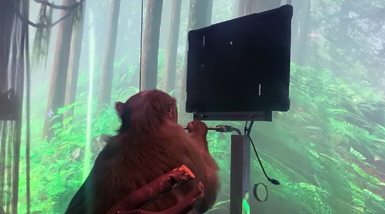 Elon Musk Neuralink: Affe zockt Videospiel durch Gedankenkraft