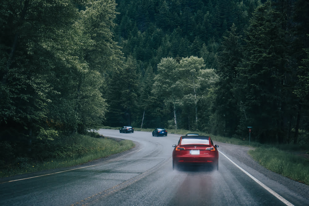 Tesla-Autos fahren im Regen durch einen Wald