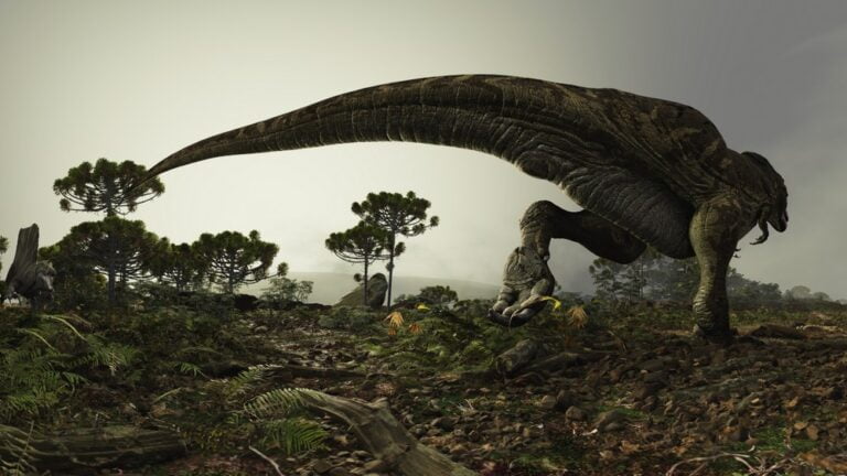 Dinosaurier in grüner Landschaft im VR-Film Genesis VR