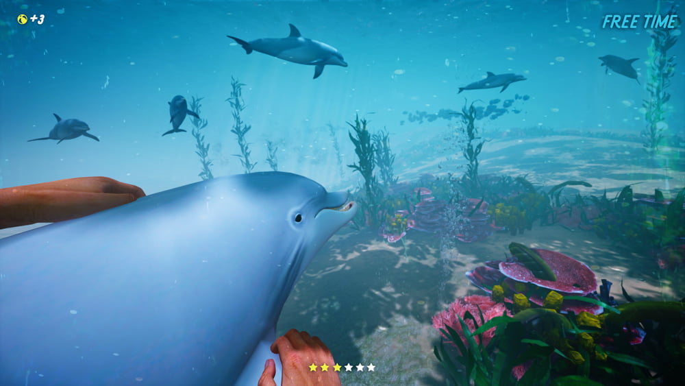 Delphin unter Wasser mit Spieler