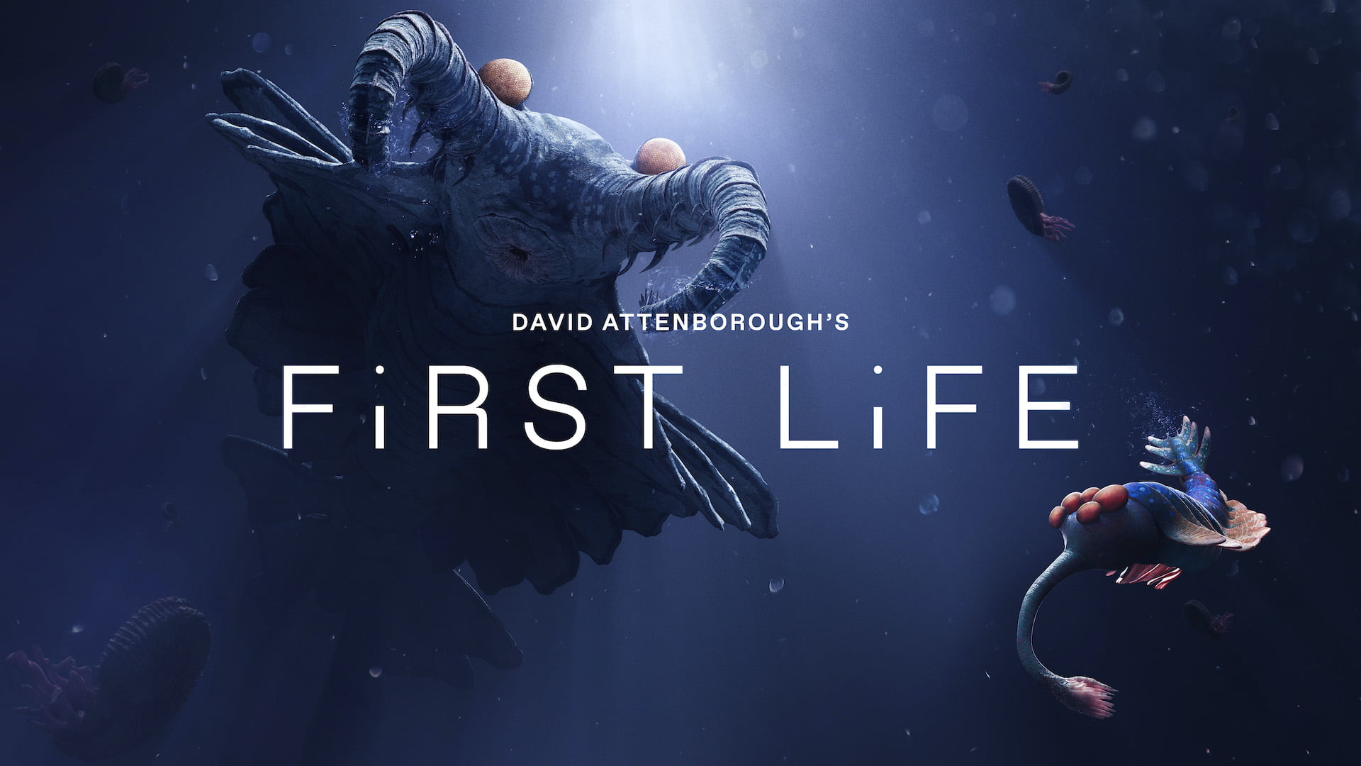 First_Life_David_Attenborough_Oculus_TV_Doku