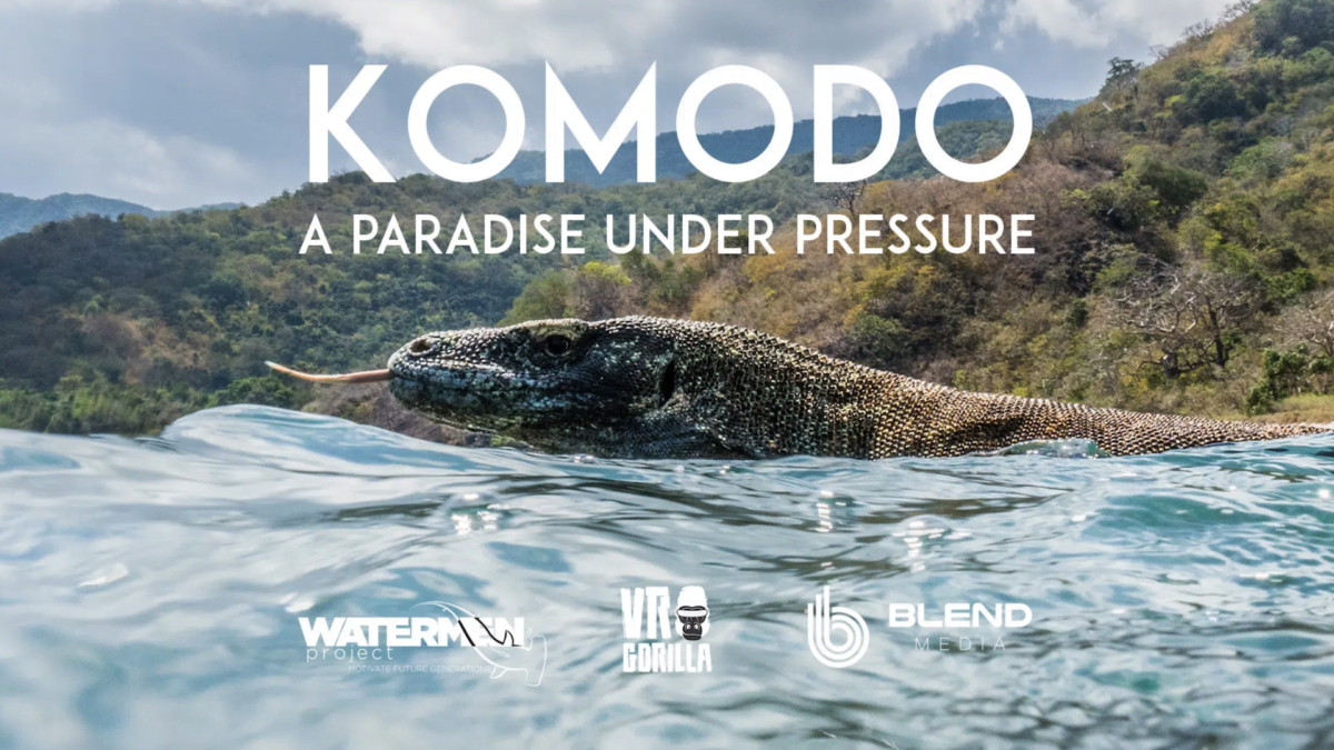 Schwimmender Komodowaran streckt den Kopf aus dem Wasser