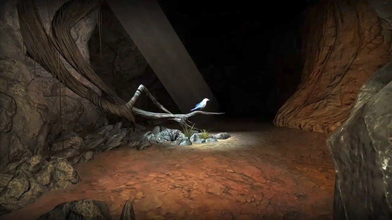 Ein Vogel sitzt auf einem Ast innerhalb einer Höhle, ein Lichtschein von außen fällt auf ihn.