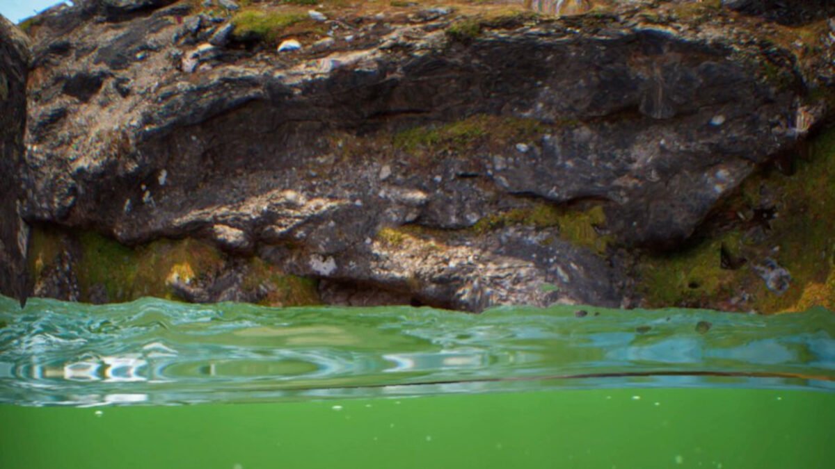 Taucher-Sicht auf einen trüben Tümpel mit grünem Wasser, dahinter ein Felsen.