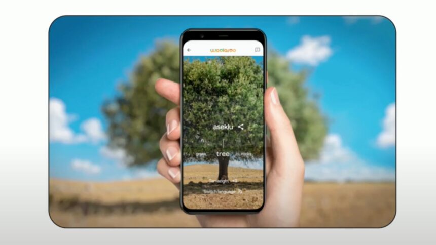 Google Woolaroo web app recognizes a tree and translates the word to various languages.