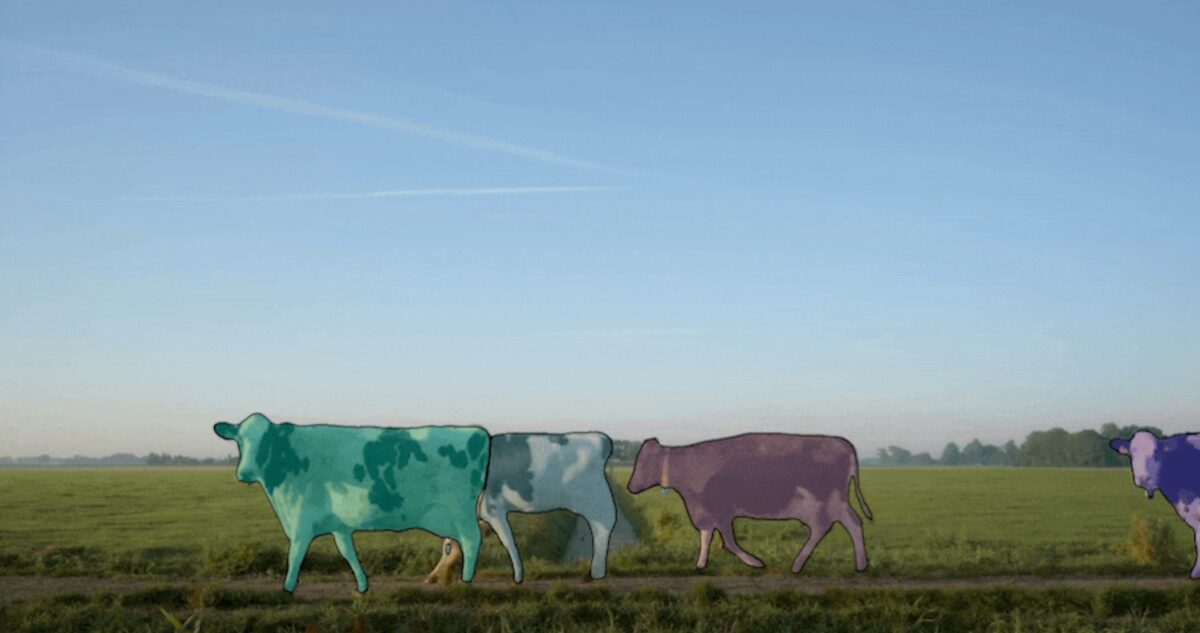 Kühe auf einem Feld werden mittels KI-Funktion hervorgehoben