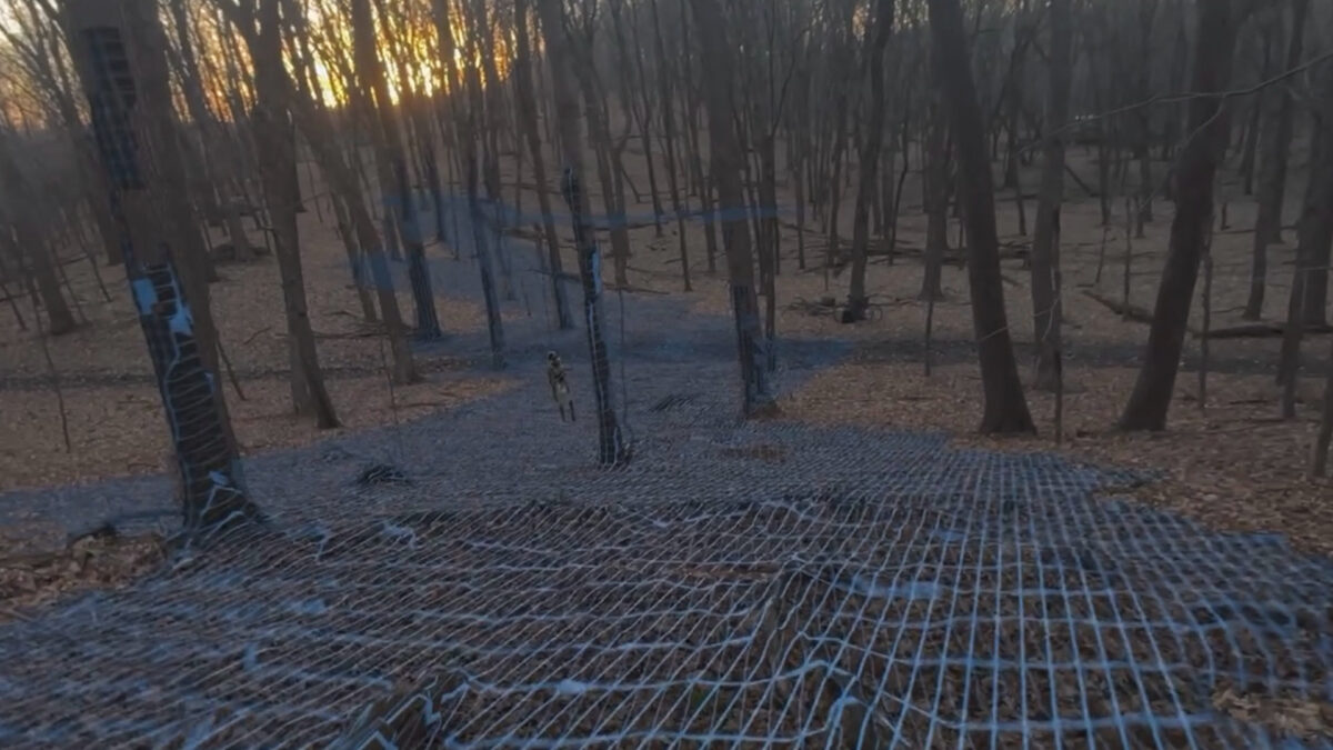 Ein Waldstück mit gescanntem Gitternetz auf dem Pfad, den der Spieler einschlug.