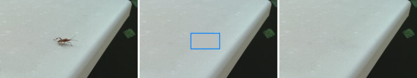 Links: Originalbild eines Käfers auf einem Tisch. Mitte: Graues, gleichfarbiges Rechteck über Angsttrigger. Blaue Umrandung nur zur Verdeutlichung. Rechts: Angsttrigger wurde über KI-Inpainting entfernt.